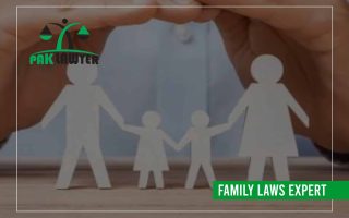 Child Custody Laws